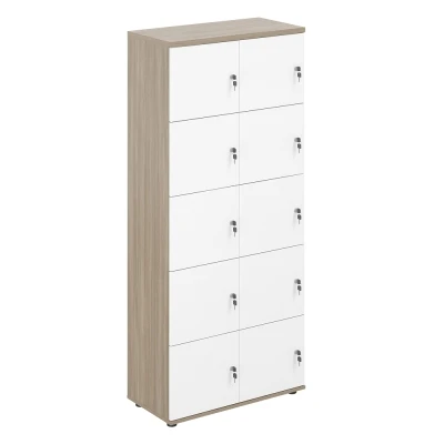 Локер 10 ячеек 800х400х1866 / SG.820.OD.WH /  корпус: дуб темный; фасады: белый