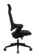 Кресло для руководителя Riva Design Chair Flex Q1-2BH черный пластик - 2